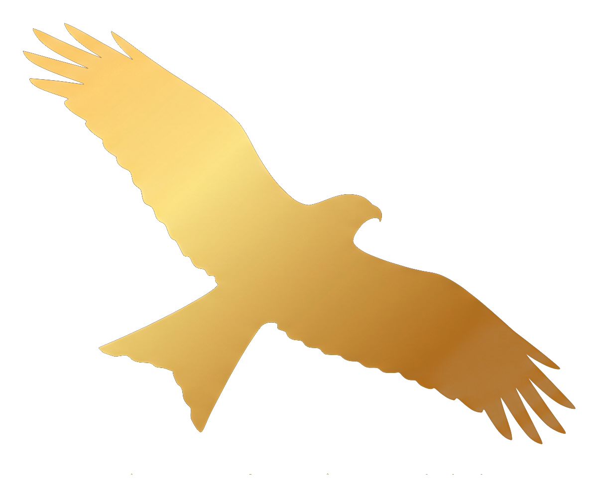 Paul Cowen kite logo