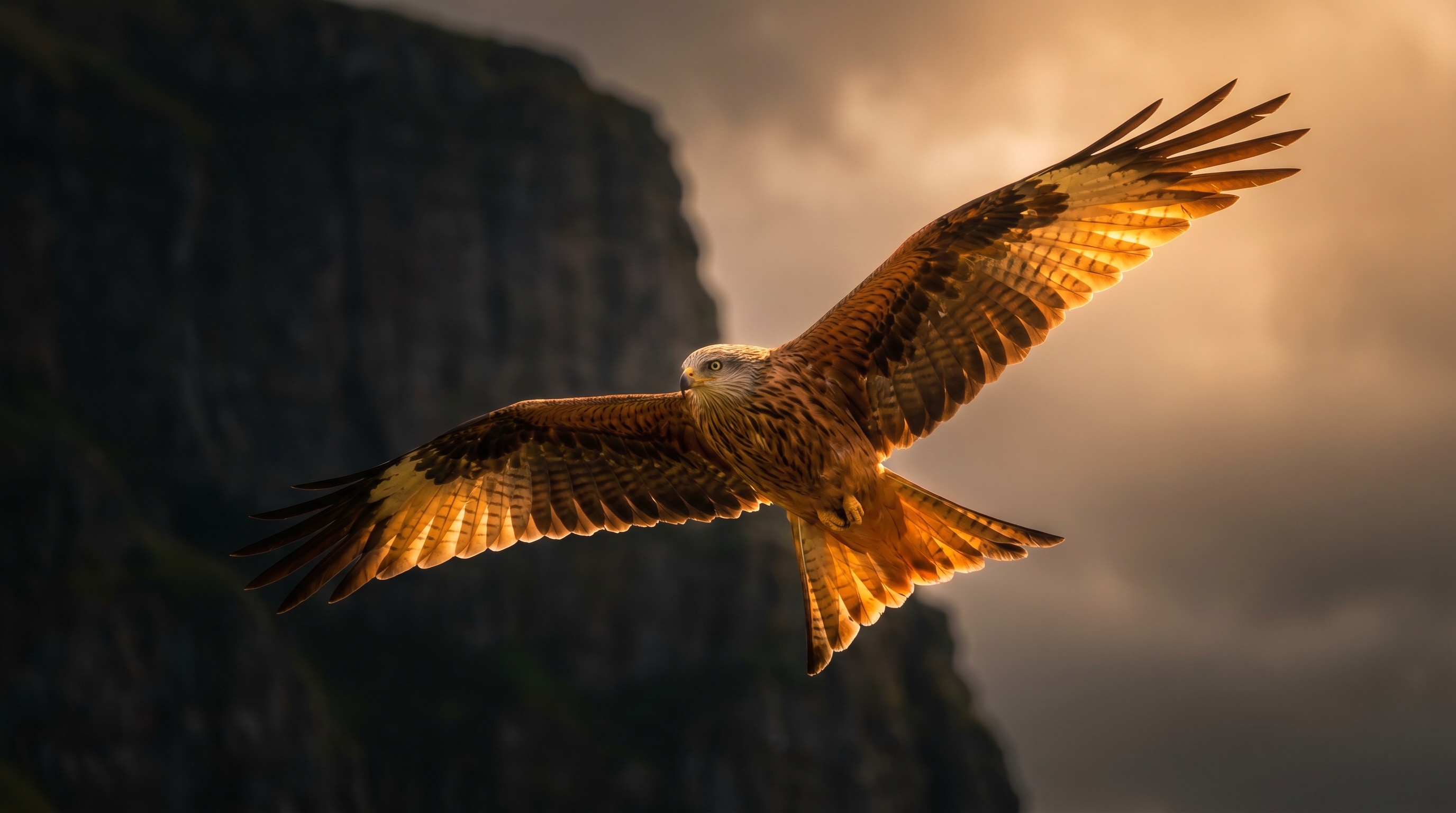 A red kite soaring — freedom through AI